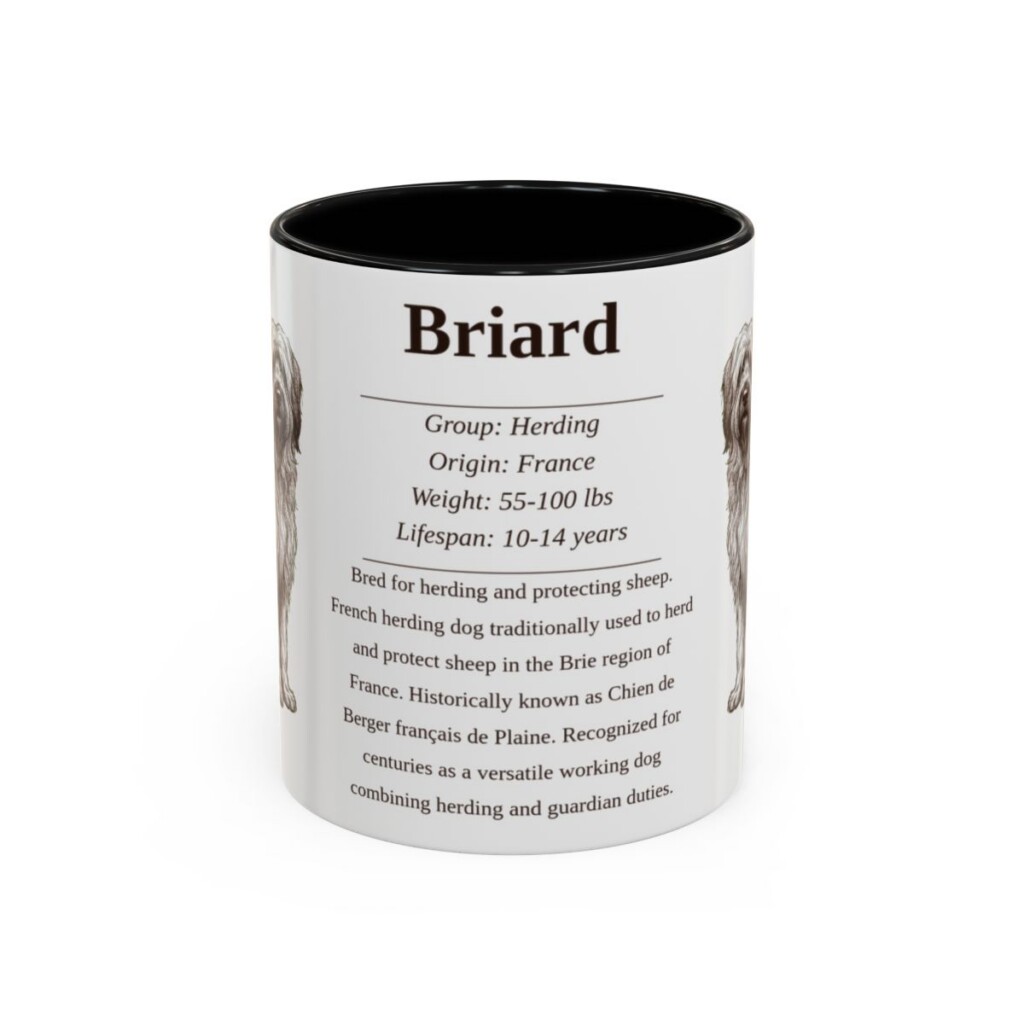 11oz Briard Mug, Black, front view