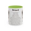 11oz Briard Mug, Light Green, front view
