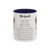 11oz Briard Mug, Navy, front view