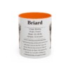 11oz Briard Mug, Orange, front view