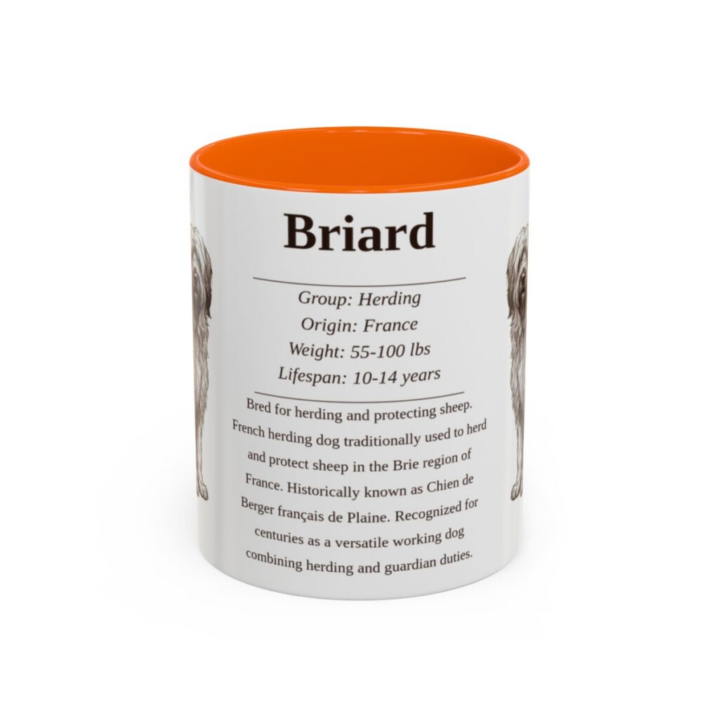 11oz Briard Mug, Orange, front view