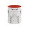 11oz Briard Mug, Red, front view