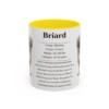 11oz Briard Mug, Yellow, front view