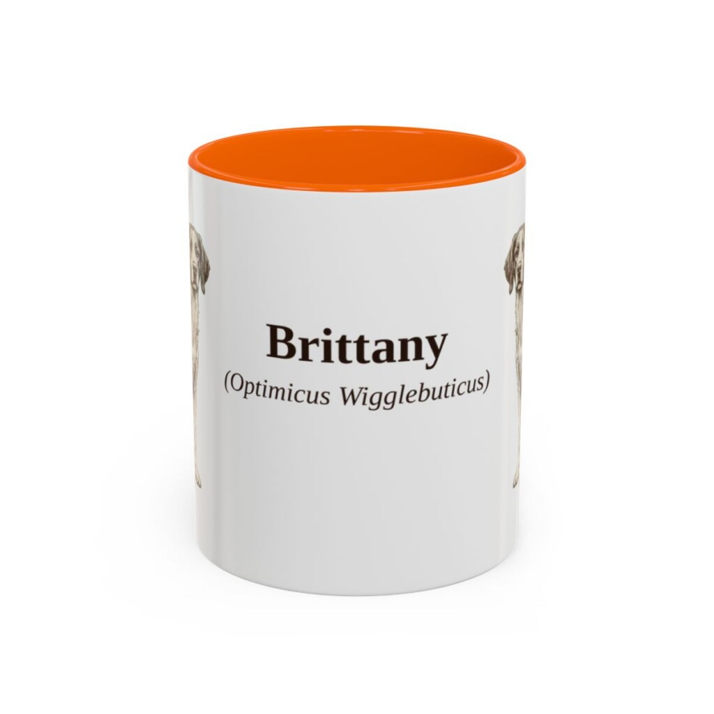 11oz Brittany Latin Mug, Orange, front view