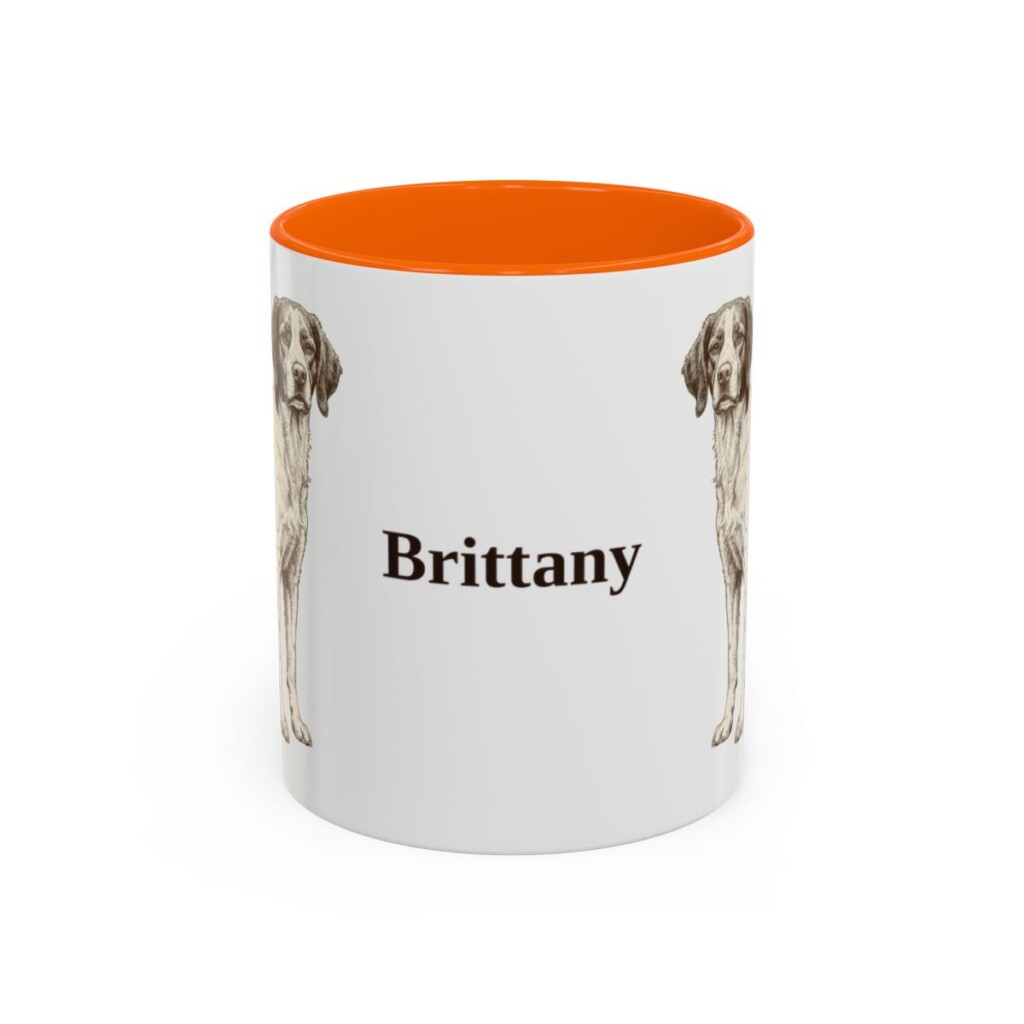 11oz Brittany Mug, Orange, front view