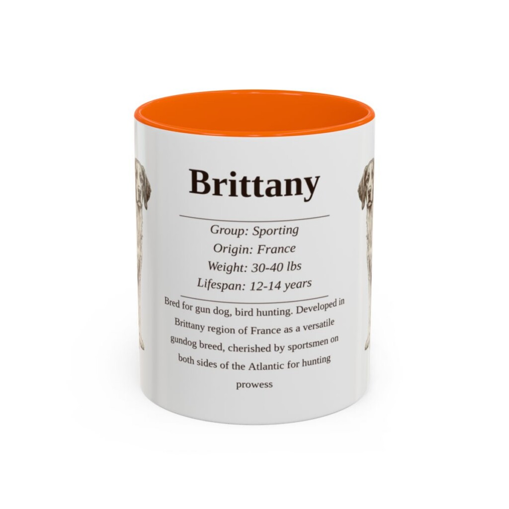 11oz brittany mug, Orange