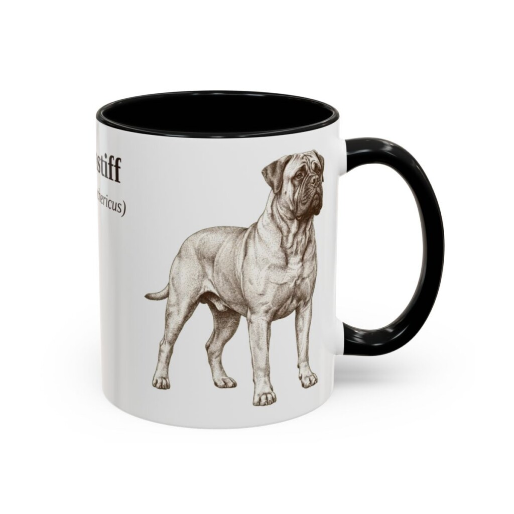 11oz Bullmastiff Latin Mug, Black, right side view