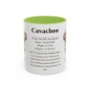 11oz Cavachon Mug, Light Green, front view