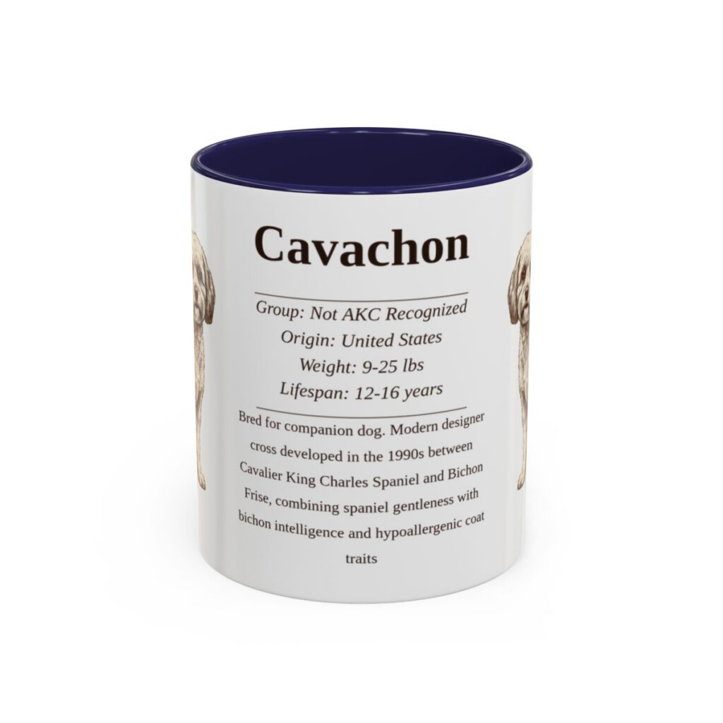 11oz Cavachon Mug, Navy, front view