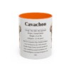 11oz Cavachon Mug, Orange, front view