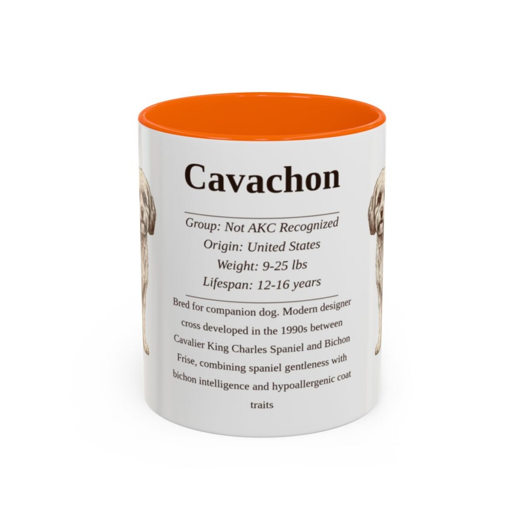 11oz Cavachon Mug, Orange, front view