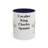 11oz Cavalier King Charles Spaniel Mug, Navy, front view