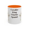 11oz Cavalier King Charles Spaniel Mug, Orange, front view