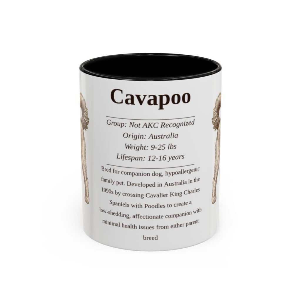 11oz Cavapoo Mug, Black, front view
