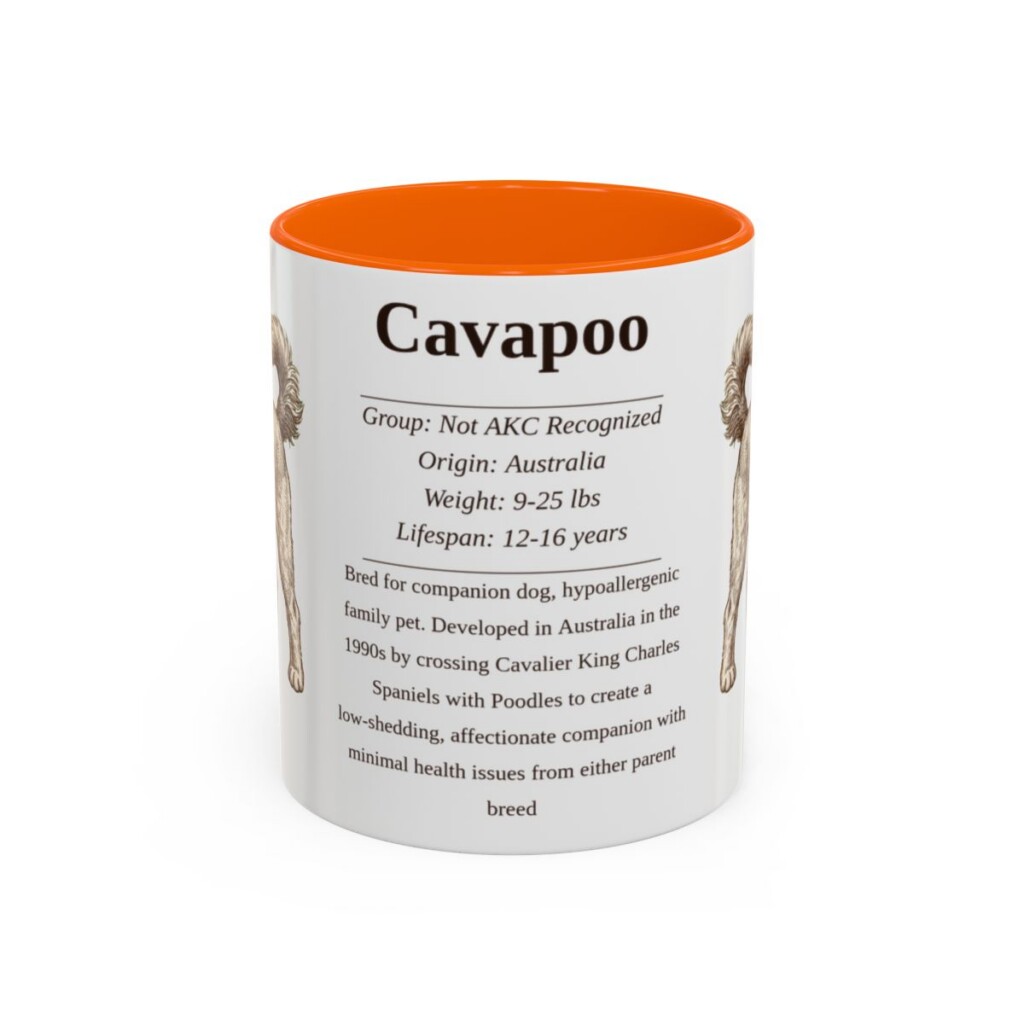 11oz Cavapoo Mug, Orange, front view