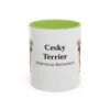 11oz Cesky Terrier Latin Mug, Light Green, front view