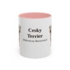 11oz Cesky Terrier Latin Mug, Pink, front view