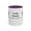 11oz Cesky Terrier Latin Mug, Purple, front view