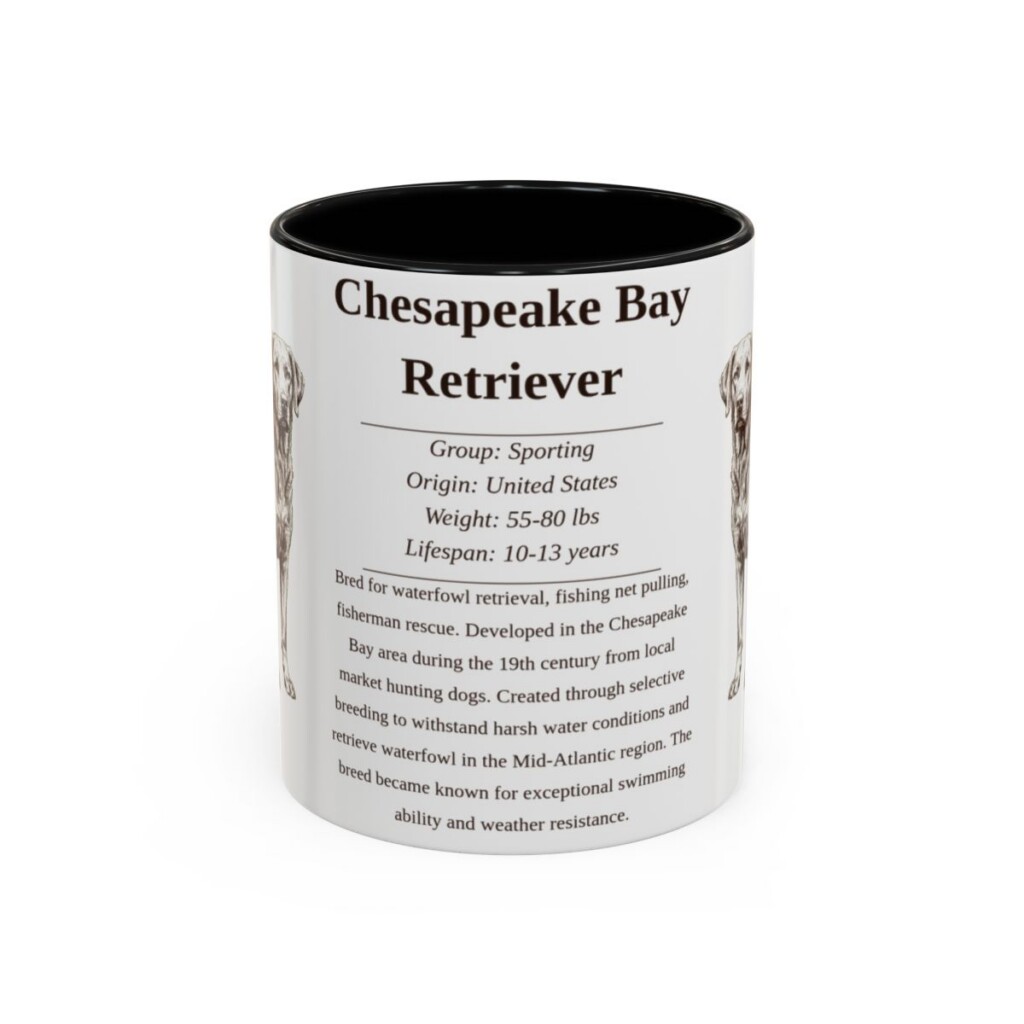 11oz Chesapeake Bay Retriever Mug, Black, front view