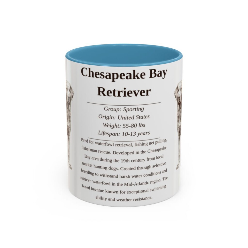 11oz Chesapeake Bay Retriever Mug, Light Blue, front view