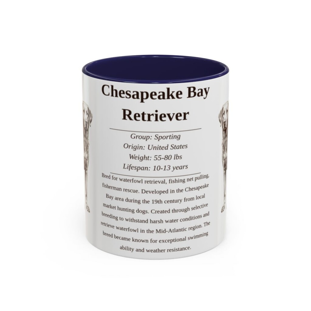 11oz Chesapeake Bay Retriever Mug, Navy, front view