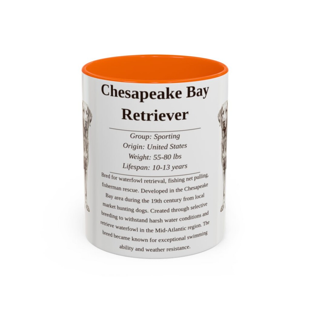 11oz Chesapeake Bay Retriever Mug, Orange, front view