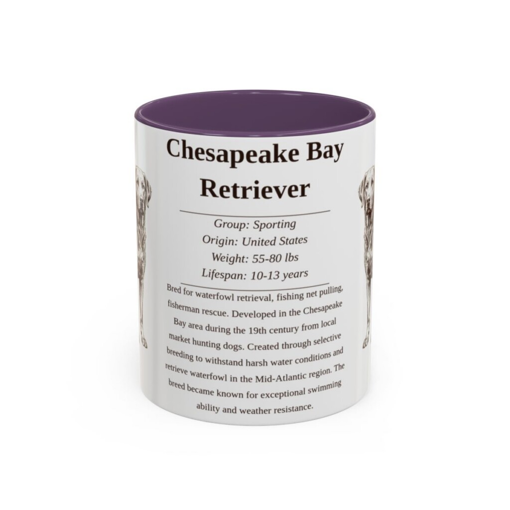 11oz Chesapeake Bay Retriever Mug, Purple, front view