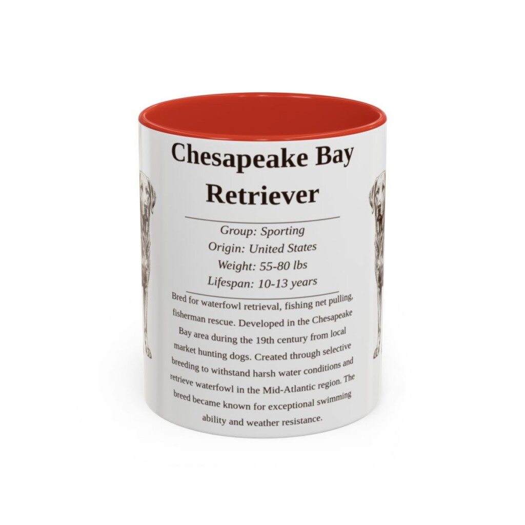 11oz Chesapeake Bay Retriever Mug, Red, front view