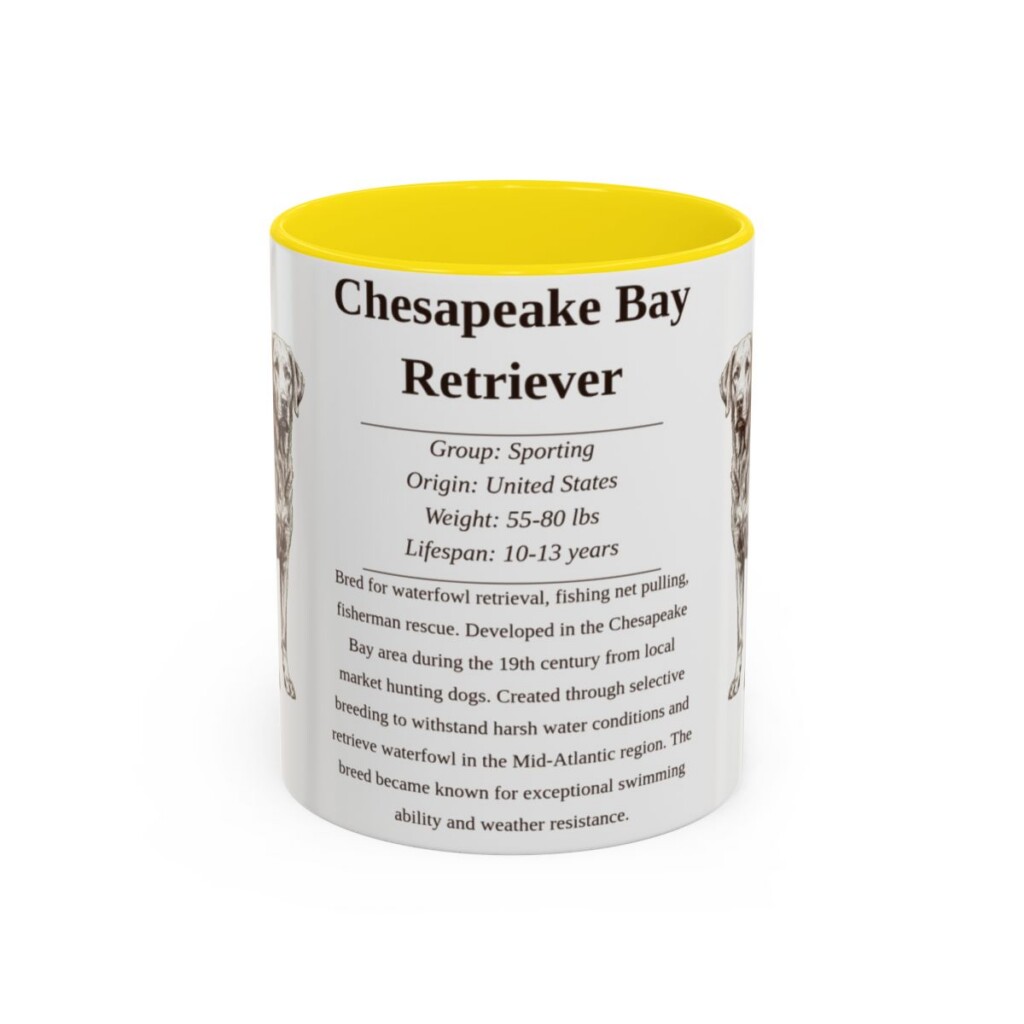11oz Chesapeake Bay Retriever Mug, Yellow, front view