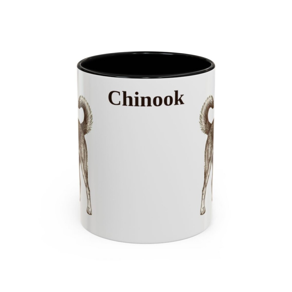 11oz Chinook Mug, Black, front view