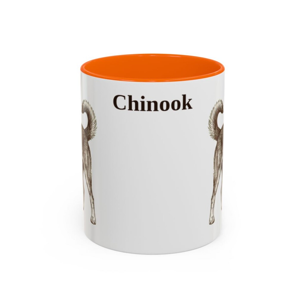 11oz Chinook Mug, Orange, front view