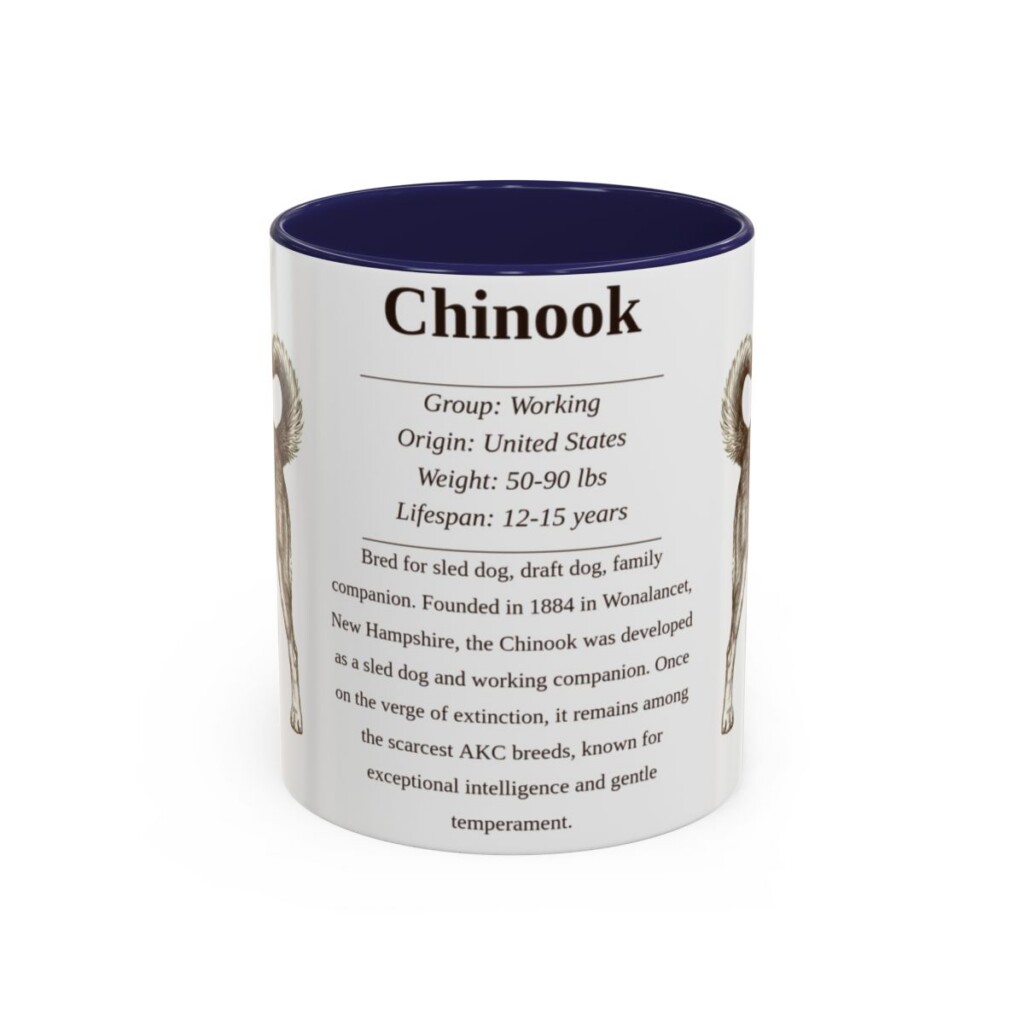 11oz Chinook Mug, Navy, front view