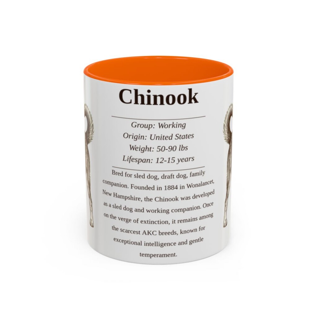 11oz Chinook Mug, Orange, front view