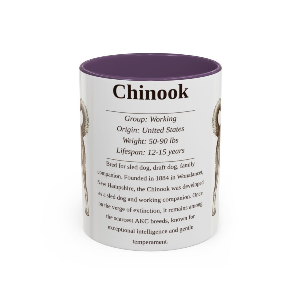 11oz Chinook Mug, Purple, front view
