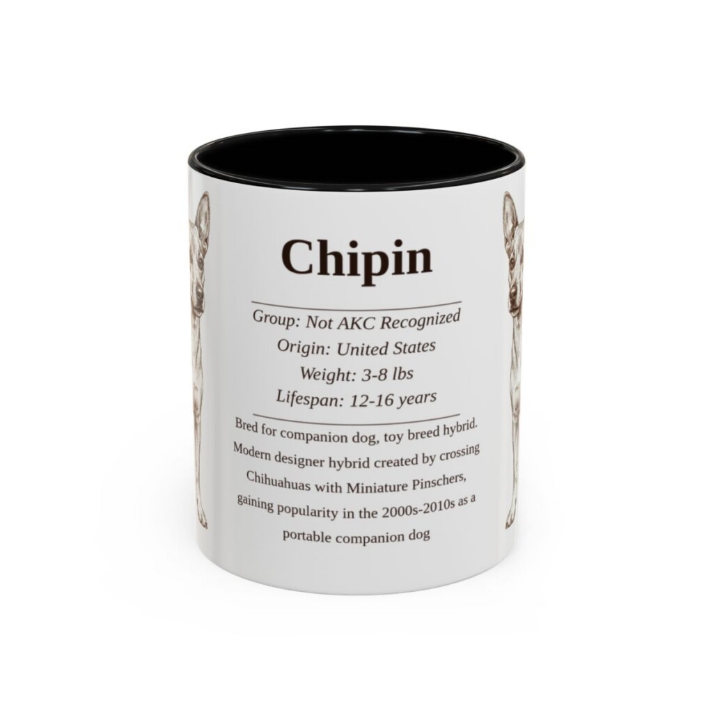 11oz Chipin Mug, Black, front view