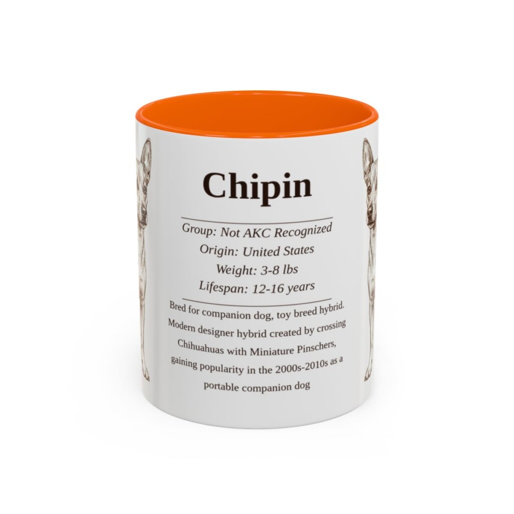 11oz Chipin Mug, Orange, front view