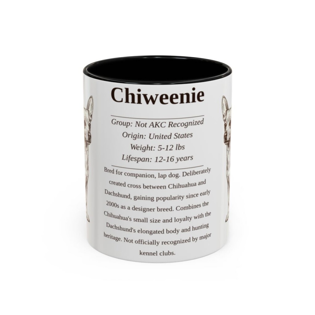 11oz Chiweenie Mug, Black, front view