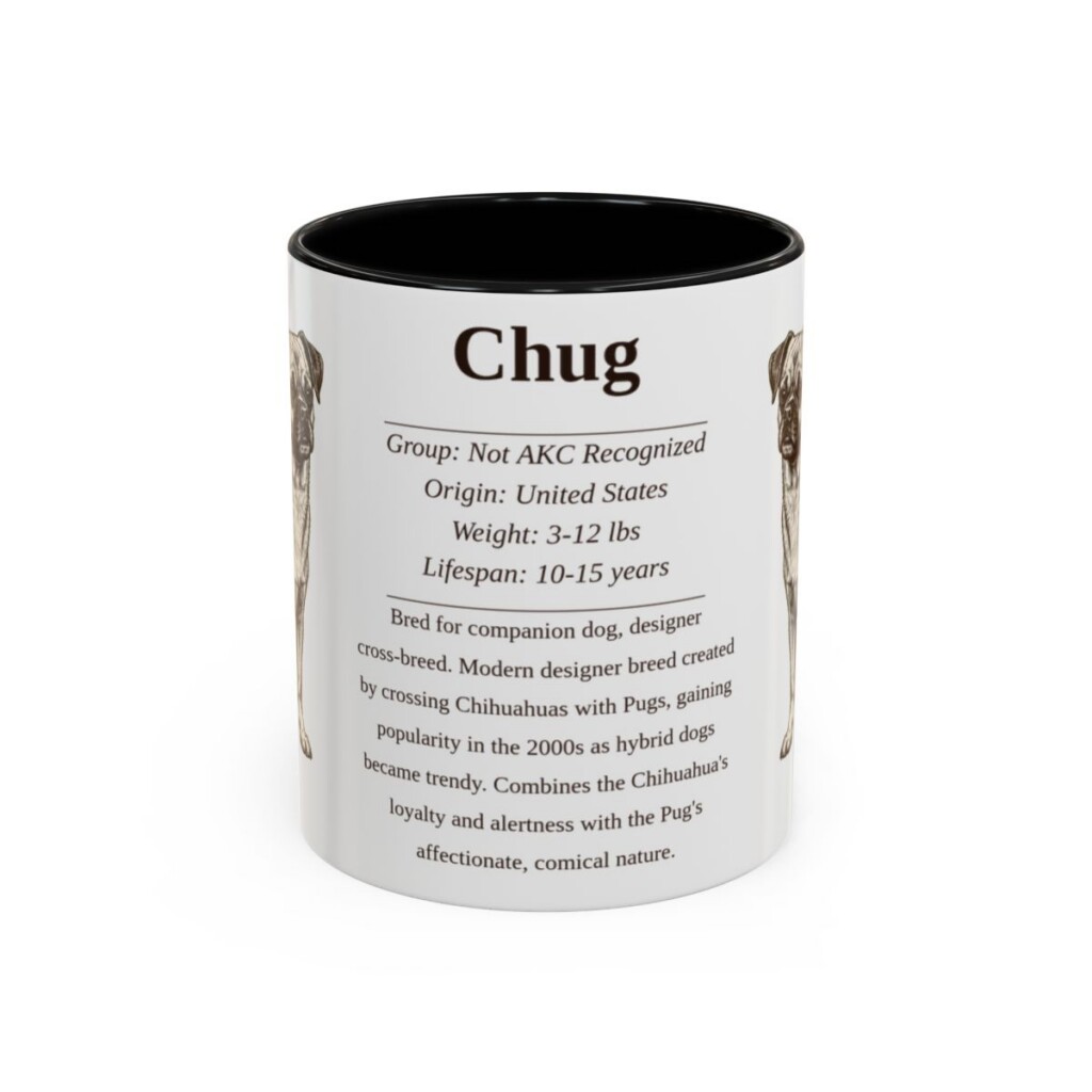 11oz Chug Mug, Black, front view