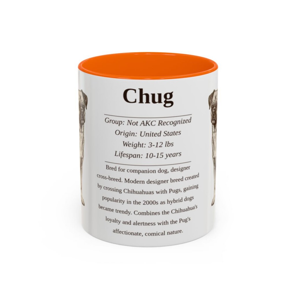 11oz Chug Mug, Orange, front view