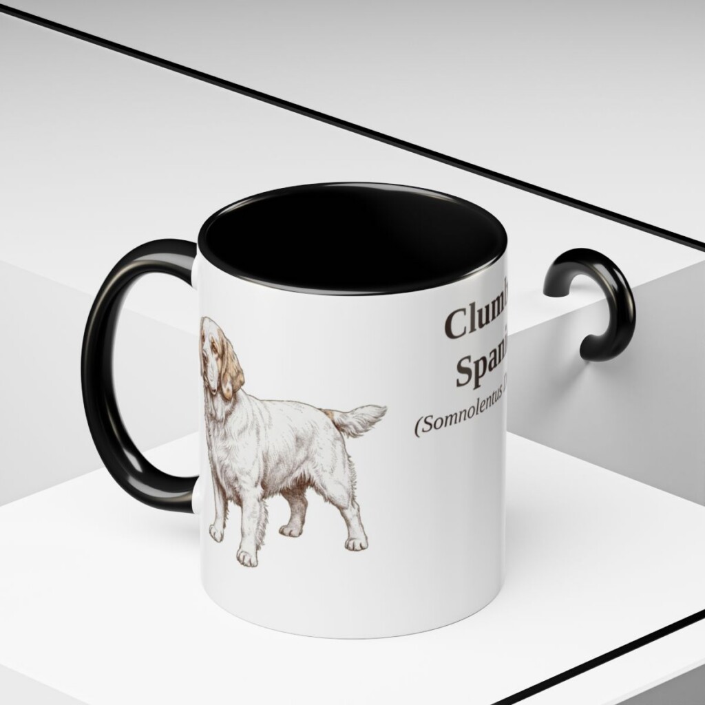 11oz Clumber Spaniel Latin Mug, Black, lifestyle photo