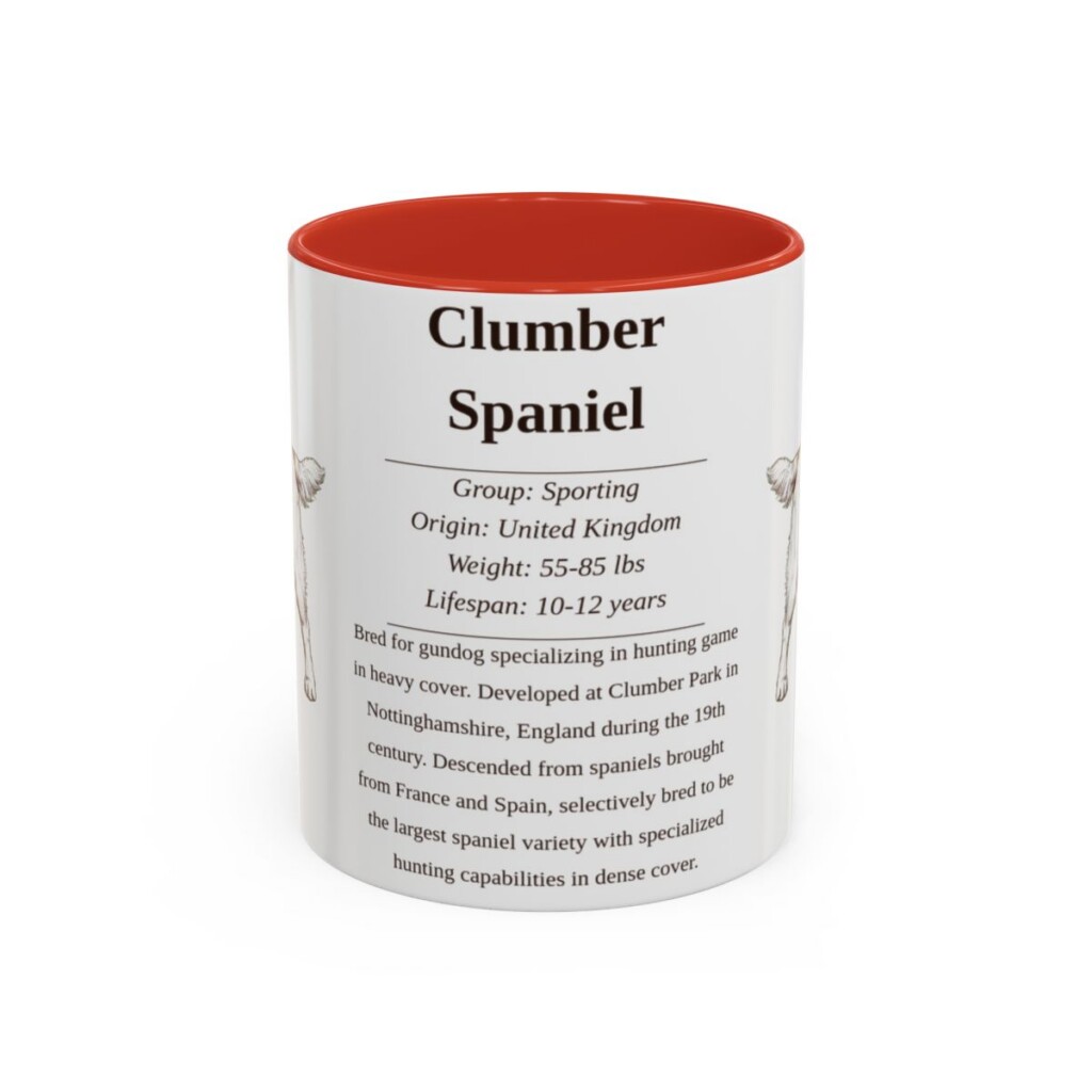 11oz Clumber Spaniel Mug, Red, front view