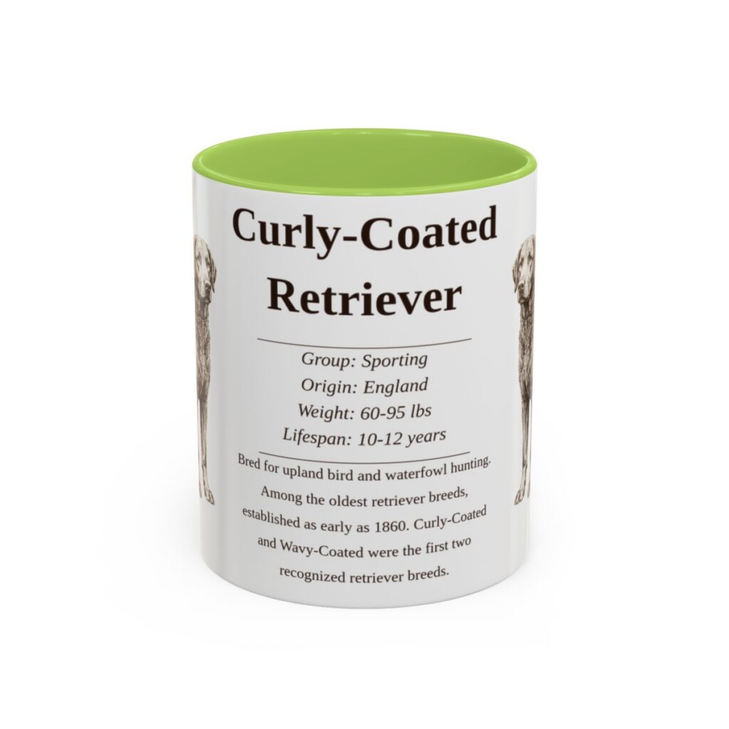 11oz Curly-Coated Retriever Mug, Light Green, front view