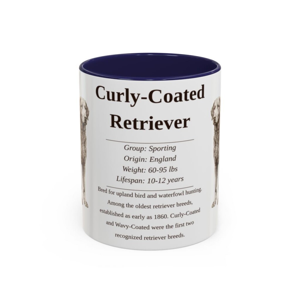 11oz Curly-Coated Retriever Mug, Navy, front view
