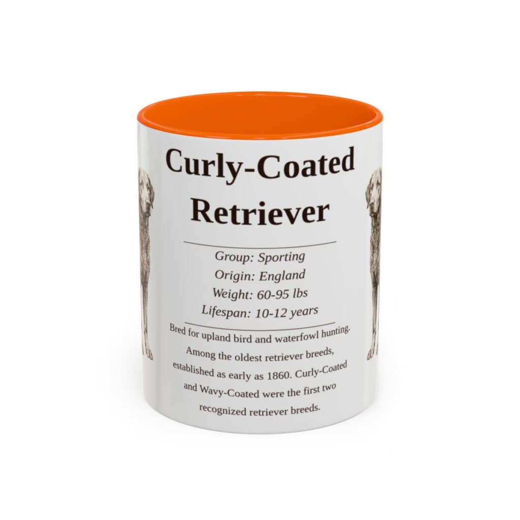 11oz Curly-Coated Retriever Mug, Orange, front view