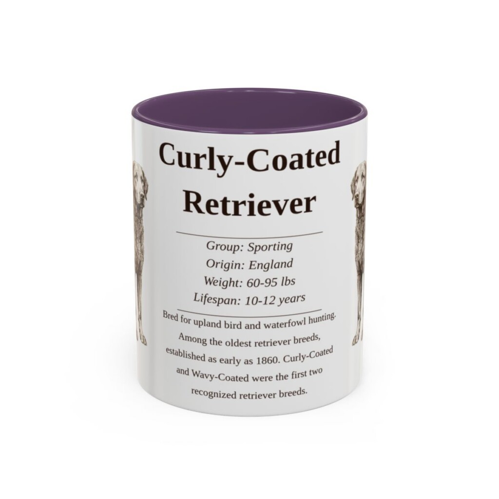 11oz Curly-Coated Retriever Mug, Purple, front view