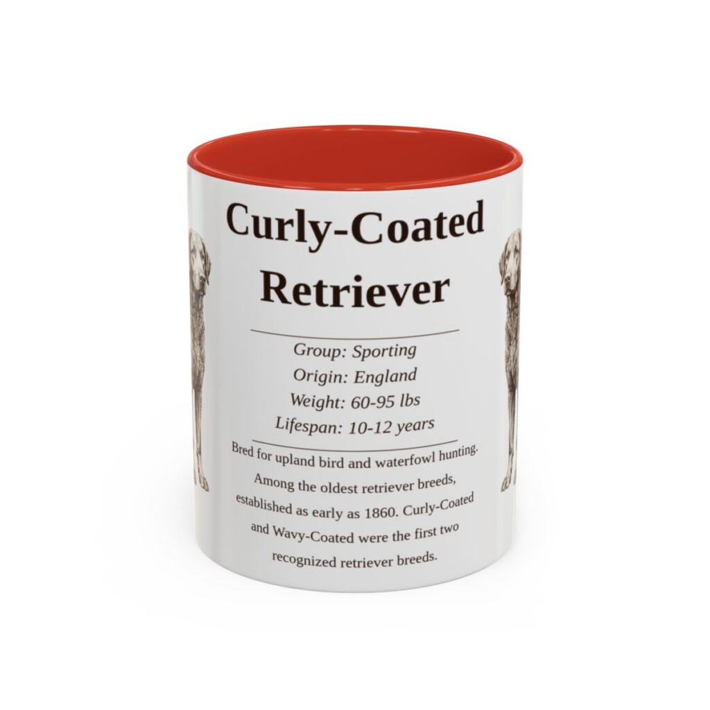 11oz Curly-Coated Retriever Mug, Red, front view