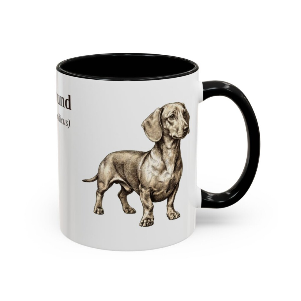 11oz Dachshund Latin Mug, Black, right side view