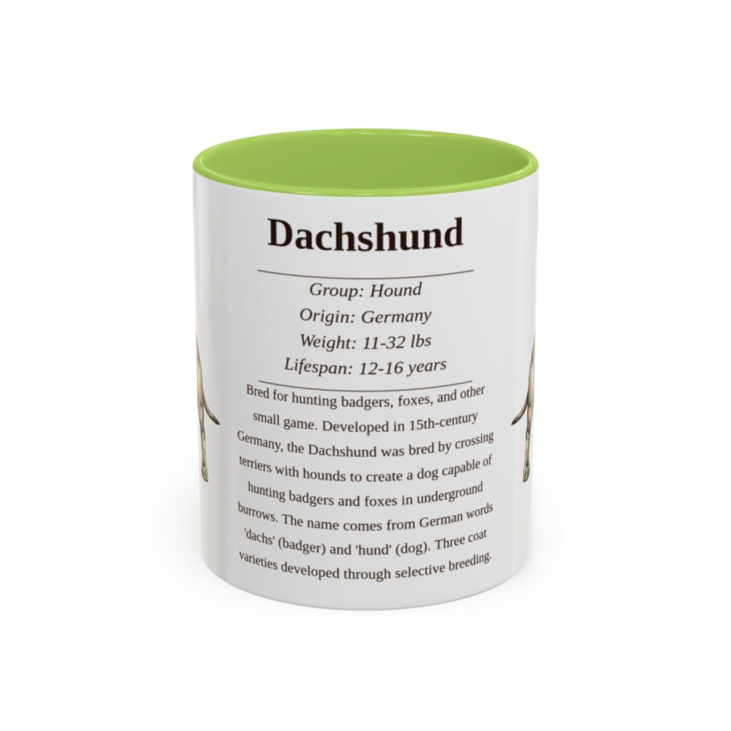 11oz Dachshund Mug, Light Green, front view