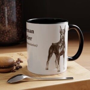 11oz Doberman Pinscher Latin Mug, Black, lifestyle photo