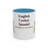 11oz English Cocker Spaniel Latin Mug, Light Blue, front view